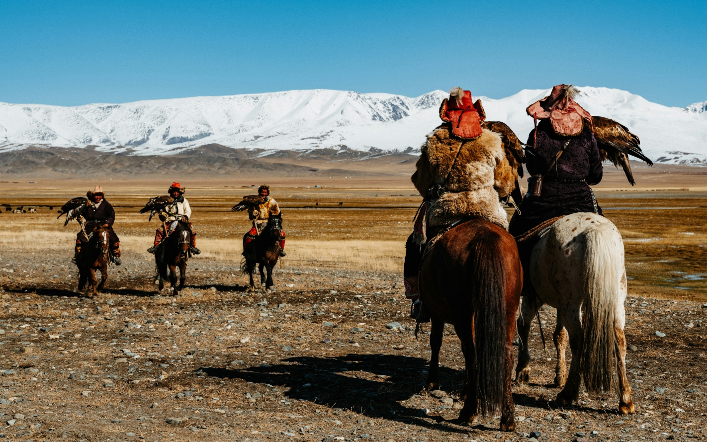 Eagle hunters in Bayan Ulgiii province Mongolia