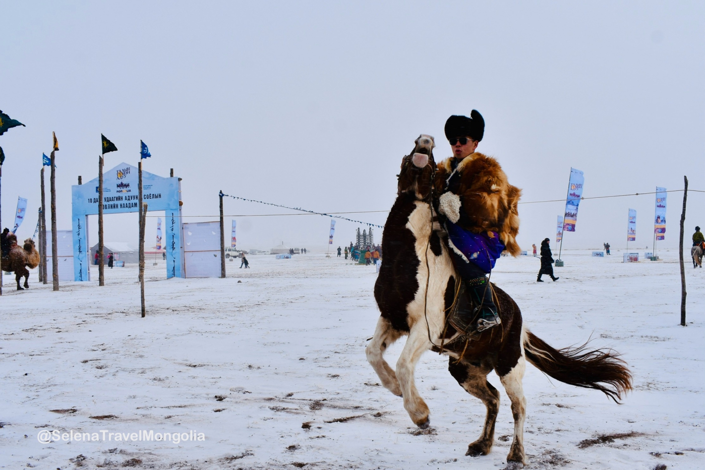 Taliin Tumen Aduu - Winter Horse Festival in Mongolia  2024