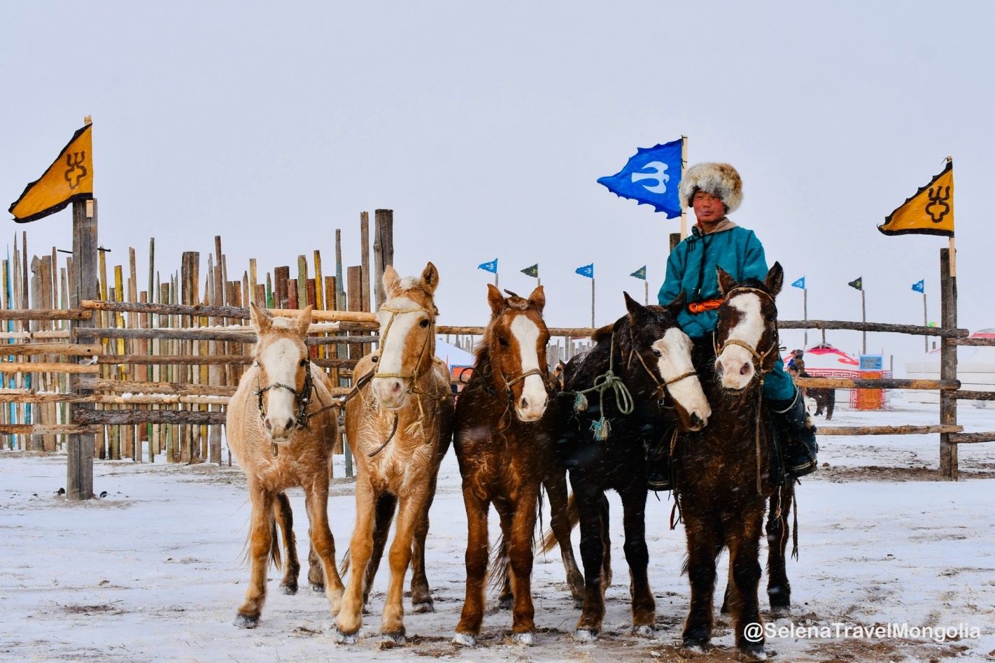 Taliin Tumen Aduu - Winter Horse Festival in Mongolia 