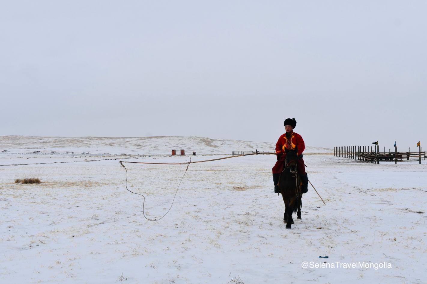 Taliin Tumen Aduu - Winter Horse Festival in Mongolia 