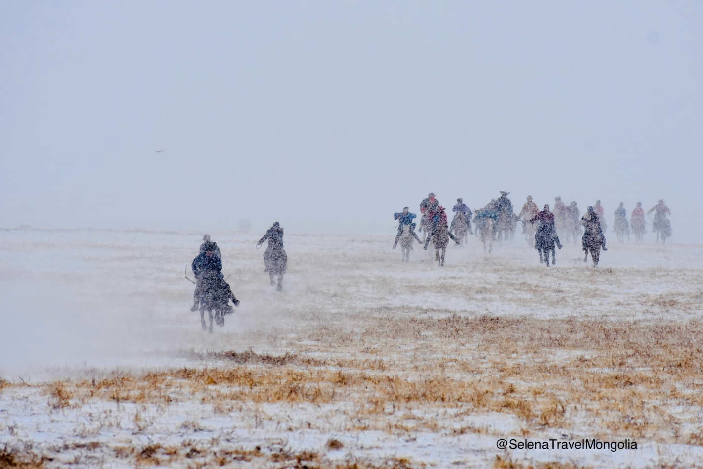 The Taliin Tumen Aduu Winter Horse Festival  : short distance horse race