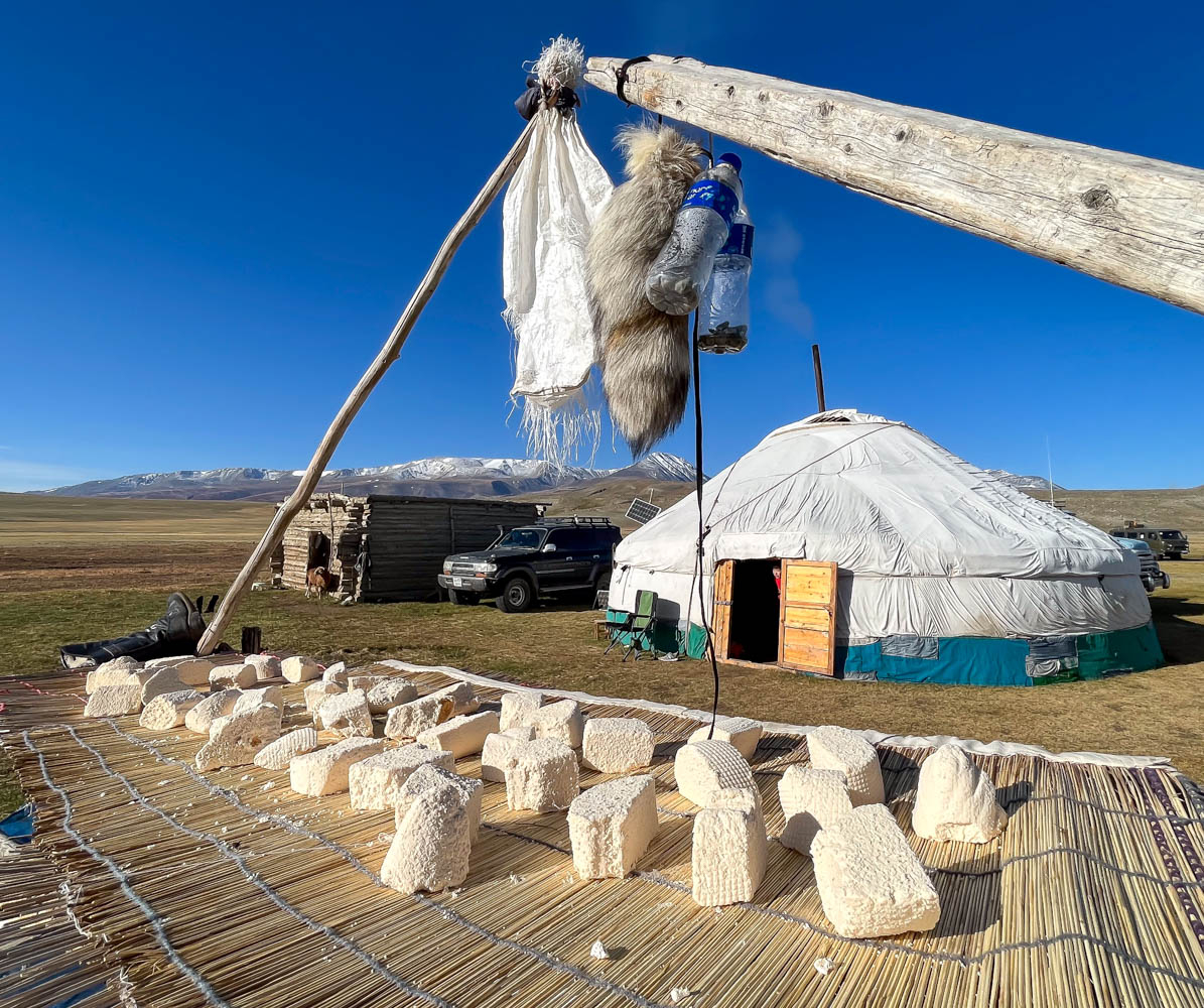 Aaruul - dried curds | Mongolian dairy products