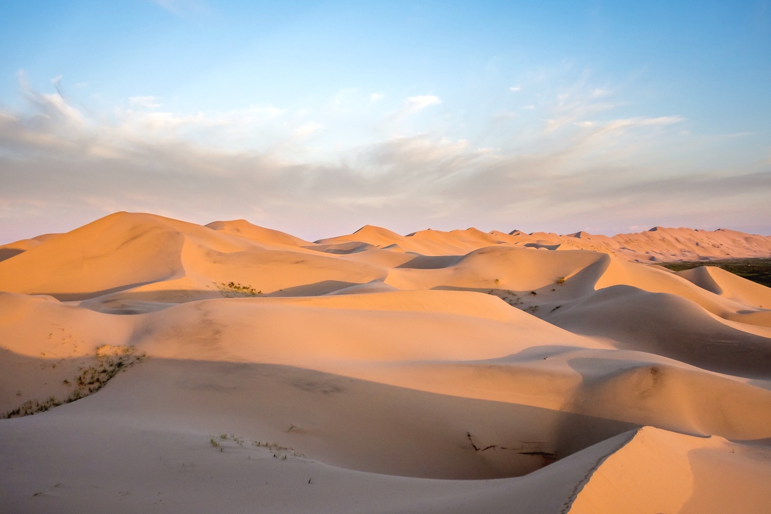 Top 20 Interesting Facts About The Gobi Desert Mongolia