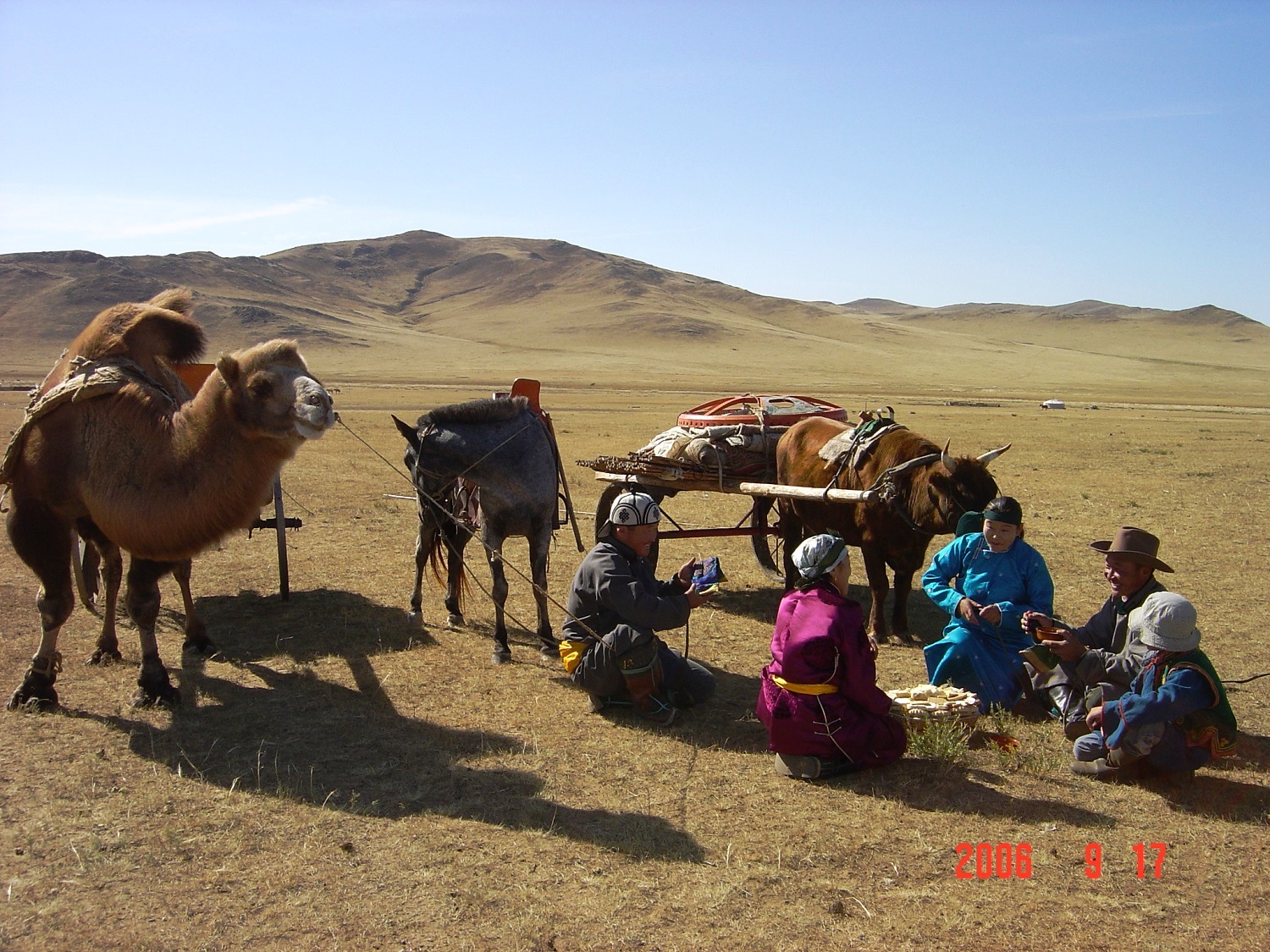 Монголия станция. Кочевники в степи. Фестиваль кочевников. Nomad. Самые красивые фото Монголии.