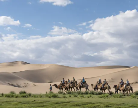 Camel riding in the gobi | Gobi desert tour  2025 / 2026 | to travel to Mongolia | Mongolia tour |