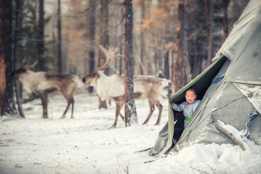 KHUVSGUL WINTER WONDERLAND  REINDEER TRIBE ADVENTURE TOUR | reindeer family in teepee at taiga