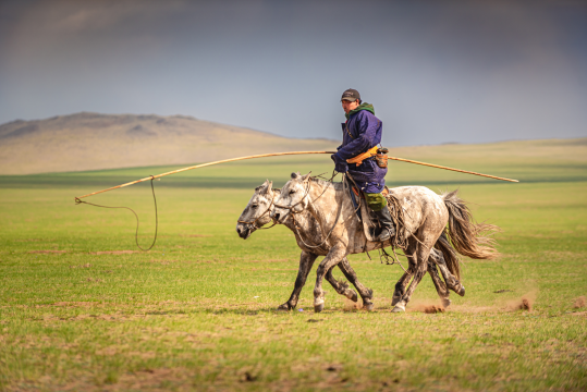 Horse Trekking in the Orkhon Valley