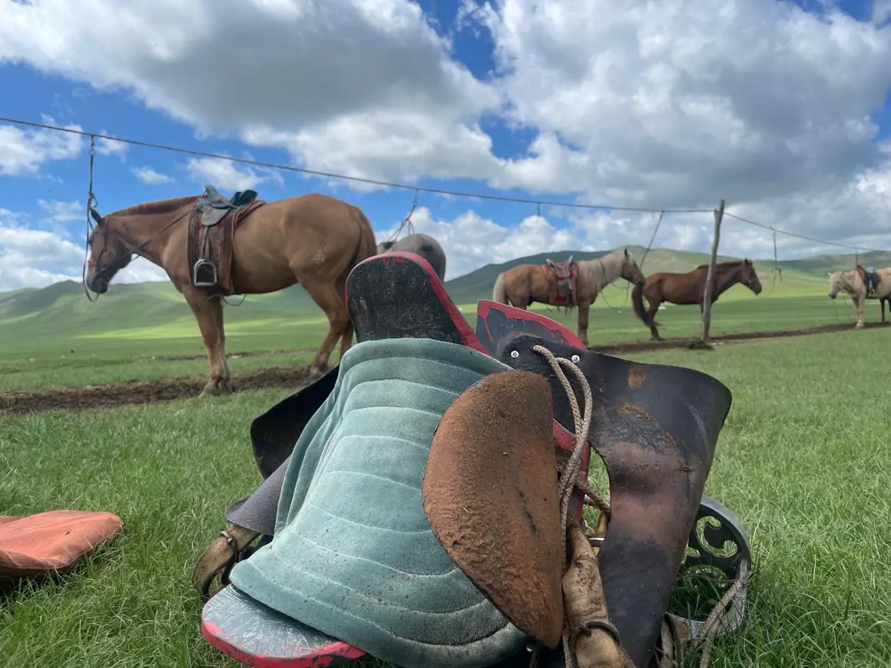 Horse trekking in Mongolia