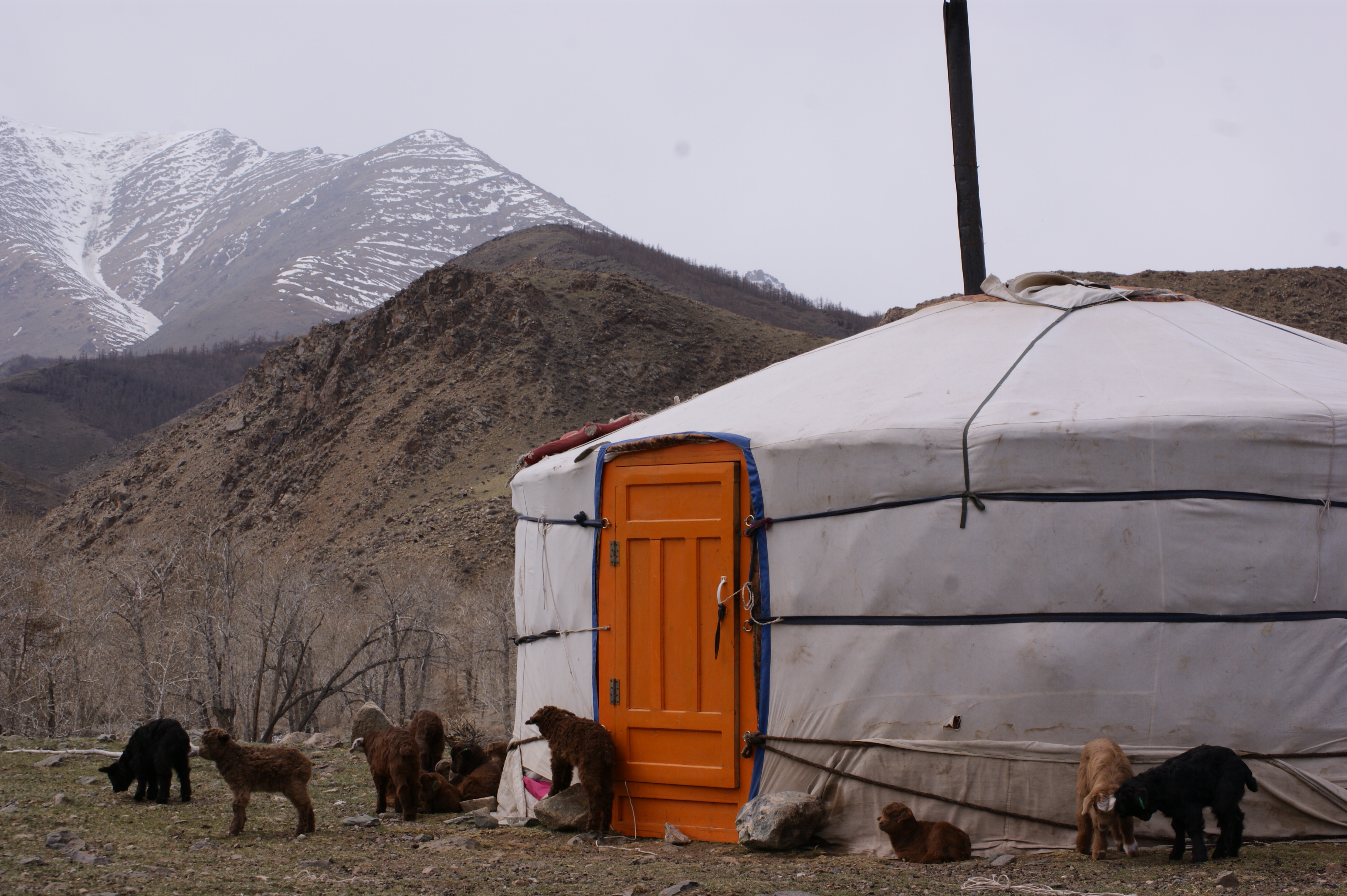Nomadic family in westen Mongolia